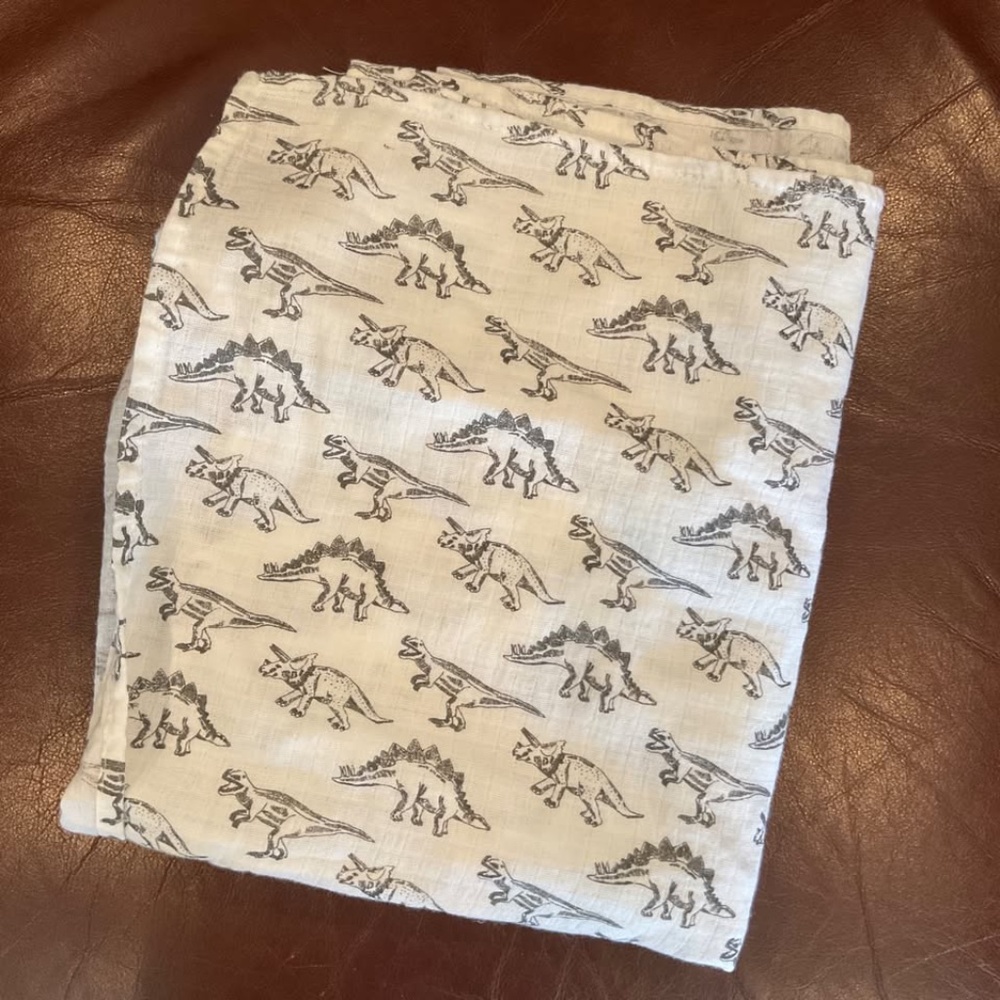 Modern Baby Dinosaur Baby Blanket